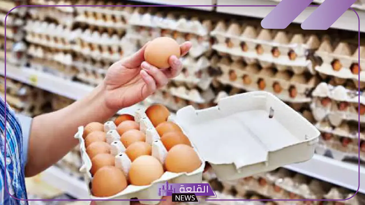 مليارات.. تقرير يوضح ما ينفعه سكان المملكة على شراء البيض فقط