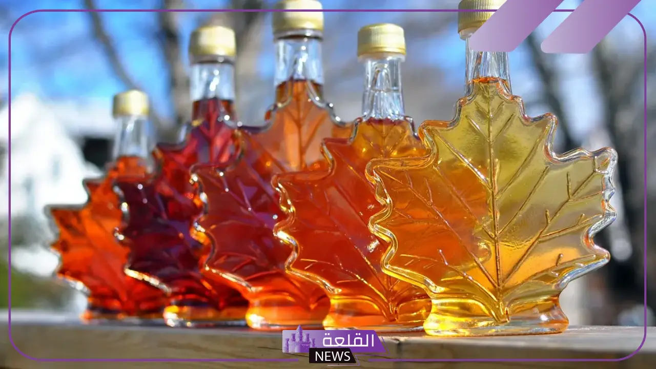هل شراب القيقب حلال؟ تعرف على أضرار وفوائد القيقب 5 أضرار وفوائد القيقب