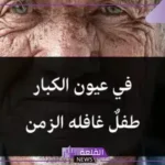 شعر عن كبار السن وأبيات جميلة جدًا بالفصحى تويتر