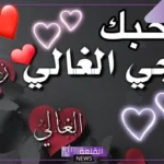 عبارات حلوة للزوج رومانسية من الزوجة قصيرة