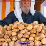 تفسير حلم فقع مطبوخ في المنام لابن سيرين والنابلسي