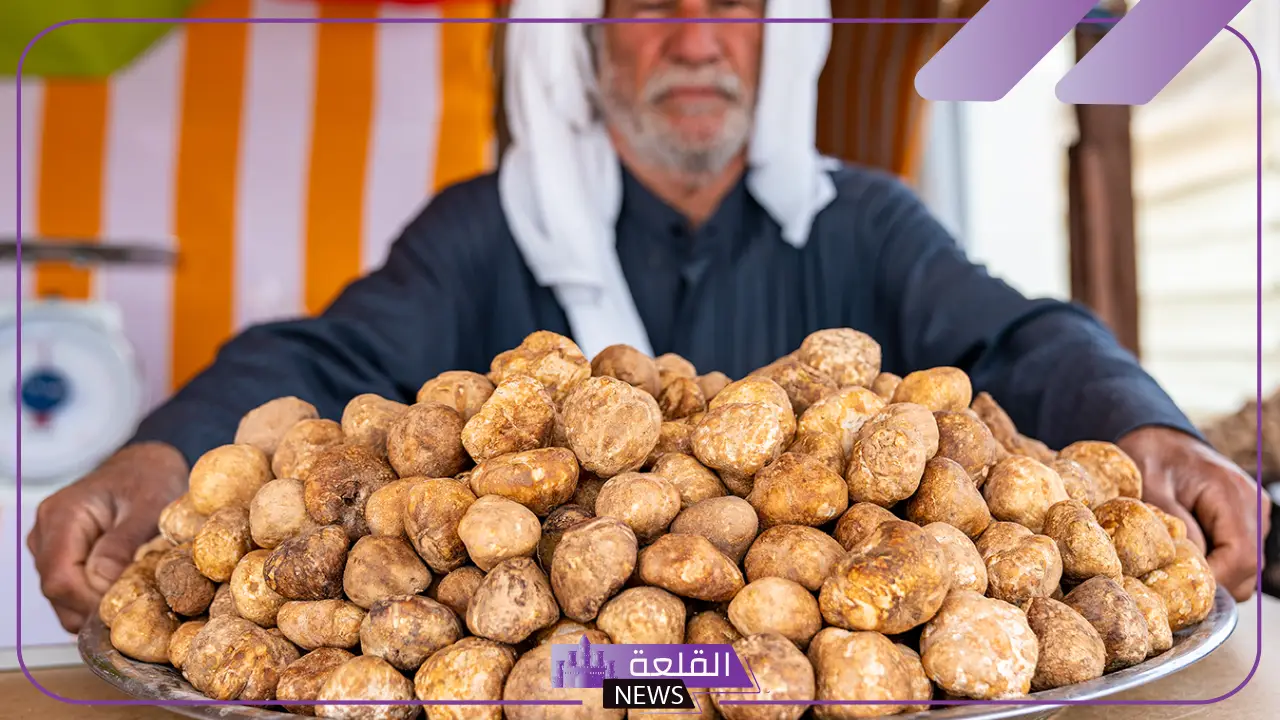 تفسير حلم فقع مطبوخ في المنام لابن سيرين والنابلسي 19 تفسير حلم فقع مطبوخ في المنام لابن سيرين والنابلسي