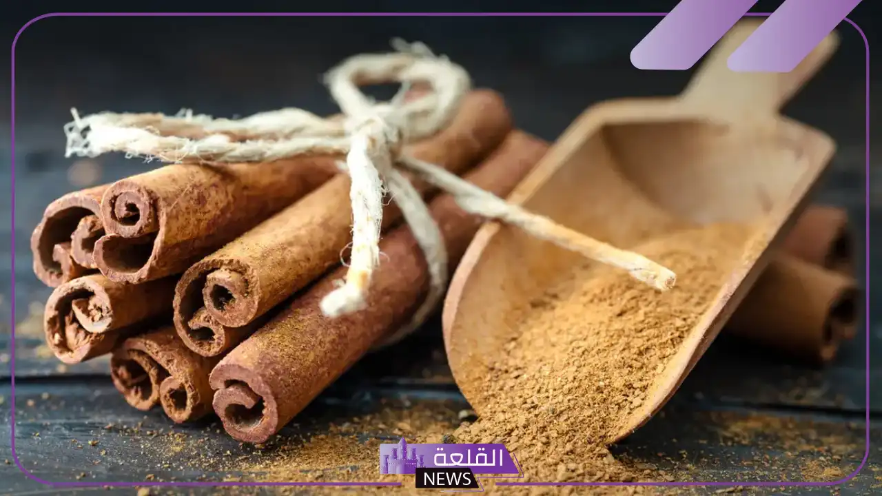 انواع القرفة للسكري بالفوائد والمزايا وكيفية استخدامها
