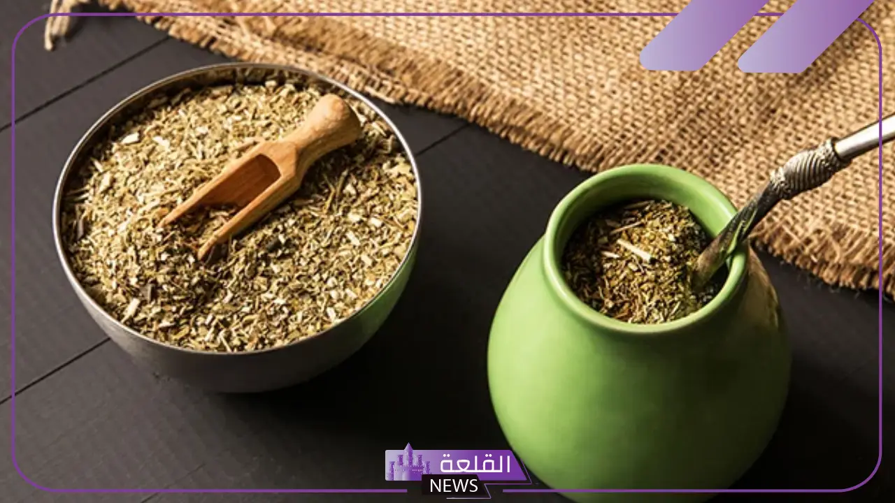 فوائد عشبة المتة للجنس وطريقة تحضيرها