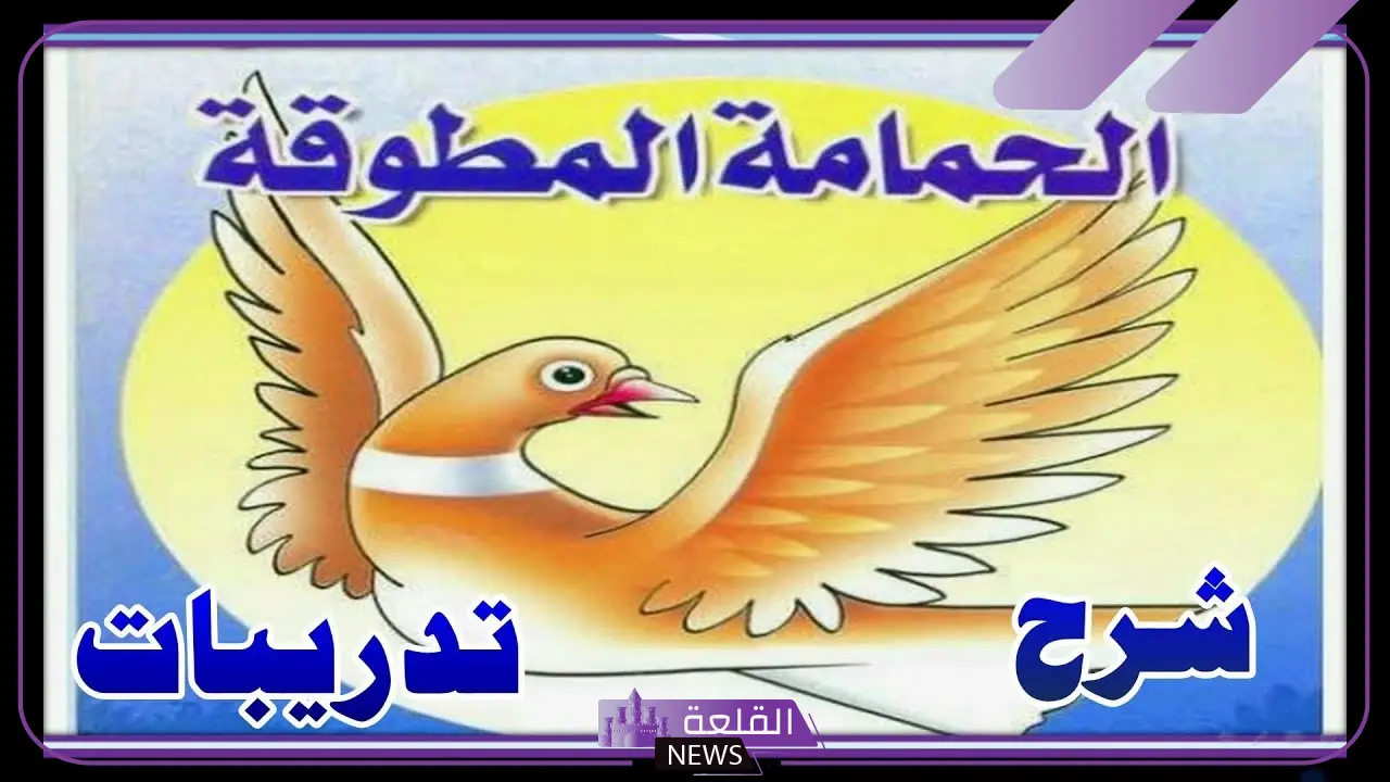 قصة الحمامة المطوقة كاملة من البداية للنهاية