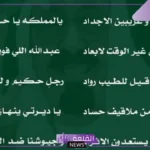 قصيدة عن اليوم الوطني جميلة جدًا، أبيات شعر عن الوطن قصيرة
