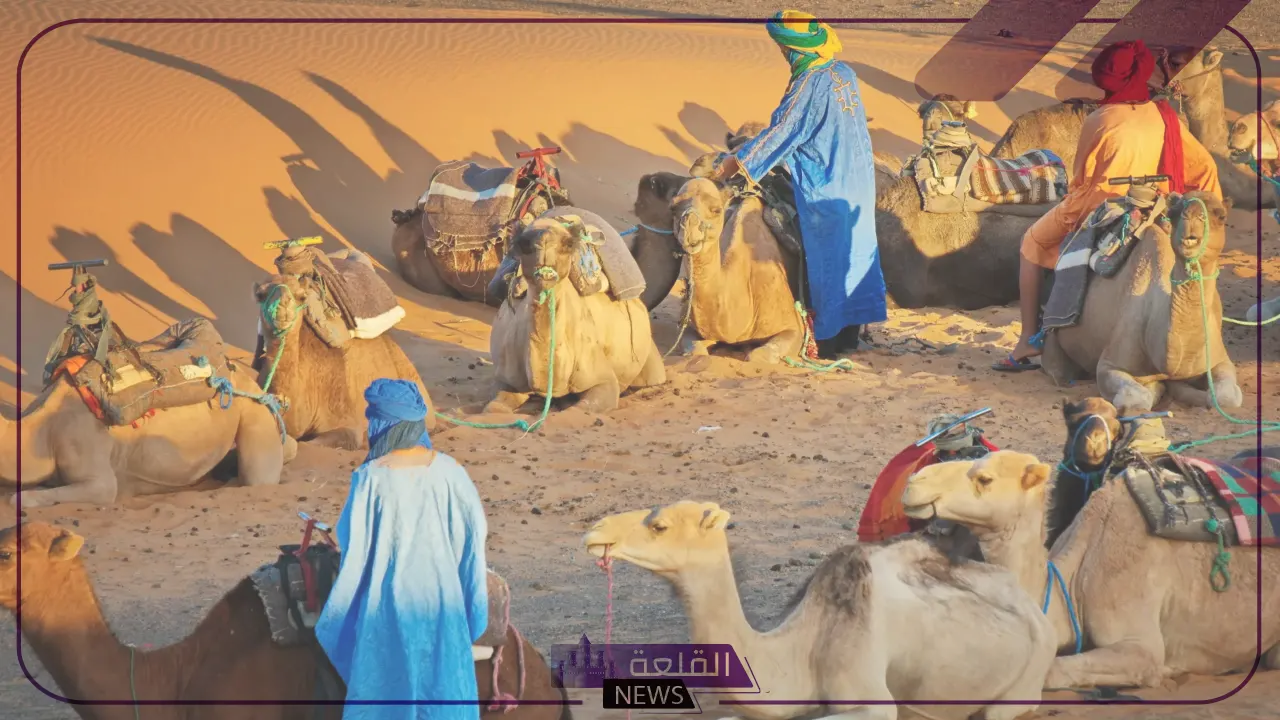 كلمات بدويه ومعناها مشهورة ومتنوعة والمصطلحات 6 كلمات بدويه ومعناها تويتر