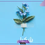 كيف ارد على الكلام الحلو بأجمل الردود؟ أفضل رد على المدح