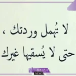 كلمات عتاب مؤثره قصيرة للأحباب جميلة جدًا، رسائل عتاب لمن نريد بقاء الود معهم 