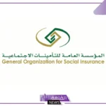 بنسبة 20%.. زيادة رواتب المتقاعدين في المملكة بأمر ملكي بمناسبة يوم التأسيس