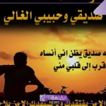 اجمل ما قيل عن الصديق الحقيقي الوفي، عبارات لمدح صديق الكفو