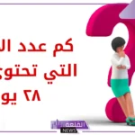 ما هو عدد الاشهر التي تحتوي على 28 يوم؟