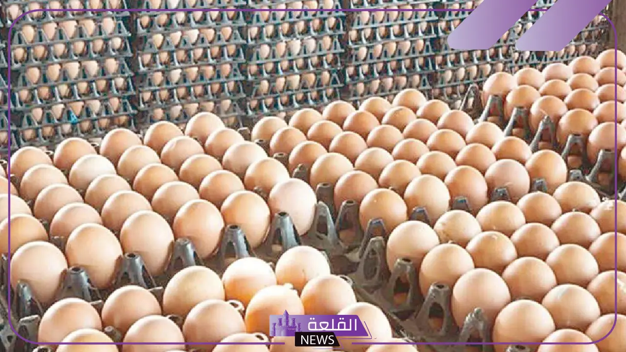 مليارات.. تقرير يوضح ما ينفعه سكان المملكة على شراء البيض فقط 5 إحصائيات حول حجم إنفاق السعوديين على البيض سنويًا