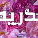 ما هو معنى اسم بدرية ودلع الاسم بالإنجليزي والعربي