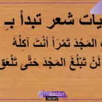 أبيات شعر عن العلم للمتنبي جميلة جدًا.. شعر جميل للمتنبي قصير