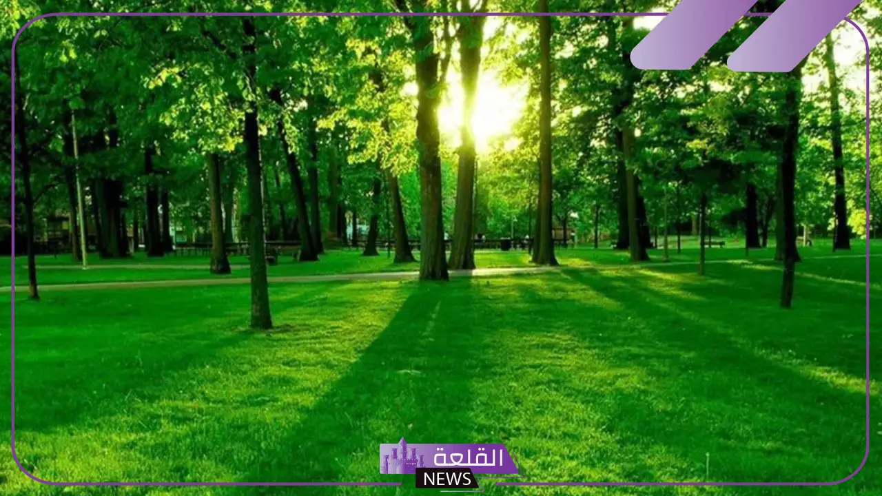 تفسير رؤية الارض الخضراء في المنام لكبار المفسرين 5 أرض خضراء واسعة في المنام للعزباء