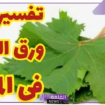 تفسير حلم ورق العنب في المنام للعزباء والمتزوجة والمطلقة لابن سيرين