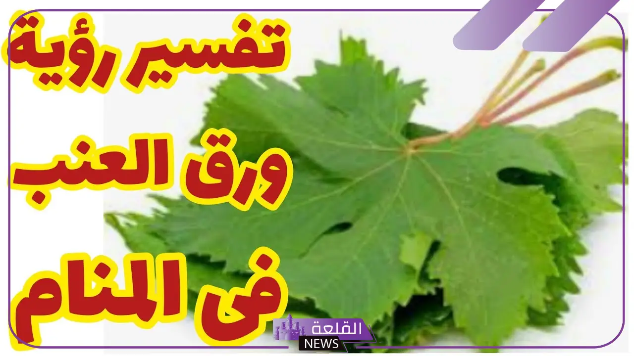 تفسير حلم ورق العنب في المنام للعزباء والمتزوجة والمطلقة لابن سيرين