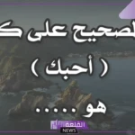 اذا احد قالك احبك وش ترد عليه؟ الرد على أحبك