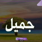 تفسير ورمز اسم جميل في المنام للمتزوجة والعزباء