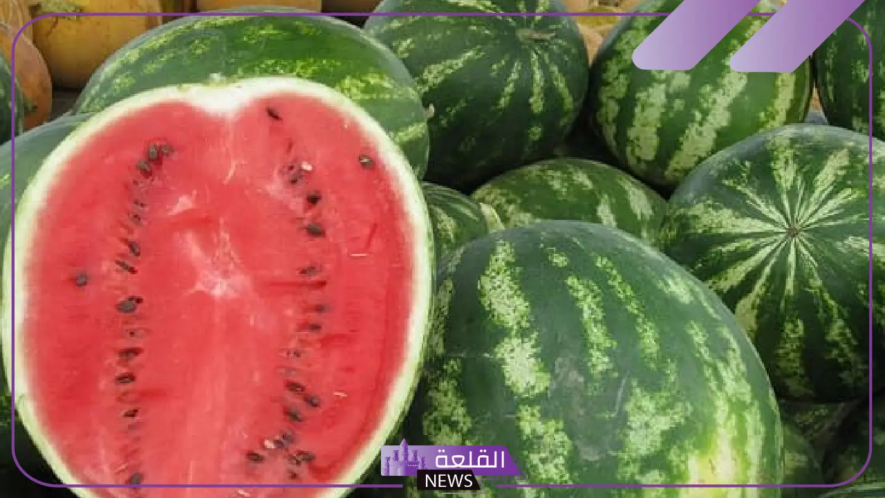 تفسير حلم اكل الحبحب في المنام للرجل والمرأة لكبار العلماء