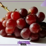 تفسير حلم اكل العنب في المنام للعزباء والحامل والمتزوجة لابن سيرين