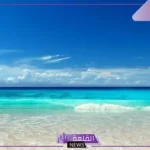 تفسير حلم نزول البحر في المنام للرجل لابن سيرين وابن شاهين