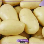 تفسير حلم رؤية البطاطس في المنام للمتزوجة والعزباء