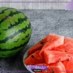 تفسير حلم البطيخ الاحمر في المنام للرجل والمرأة لابن سيرين