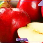 تفسير حلم اكل التفاح للمتزوجة والحامل والعزباء في المنام لابن سيرين