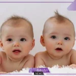 تفسير حلم رؤية التوأم في المنام للرجل والمرأة لابن سيرين