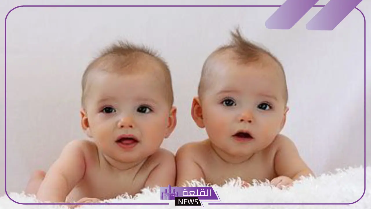 تفسير حلم رؤية التوأم في المنام للرجل والمرأة لابن سيرين