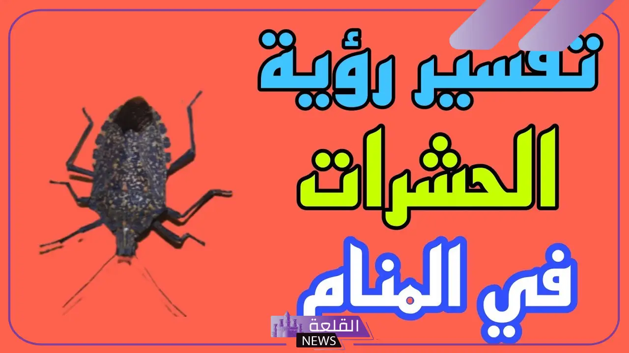 تفسير حلم الحشرات الصغيره في المنام ورمزها لابن سيرين 6 الحشرات في المنام لابن سيرين