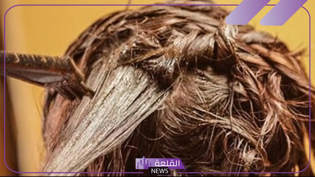 تفسير الحناء على الشعر في المنام لابن سيرين والنابلسي 5 وضع الحناء على الشعر في المنام للعزباء