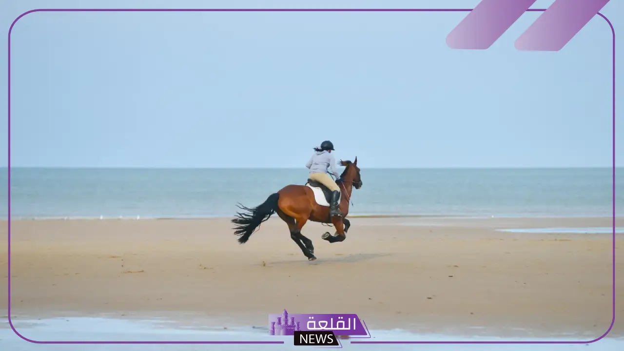 تفسير حلم رؤية ركوب الخيل في المنام لابن شاهين والإمام الصادق 5 تفسير حلم ركوب الخيل