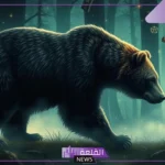 تفسير حلم الدب الاسود في المنام للعزباء ورمز رؤيته لابن سيرين