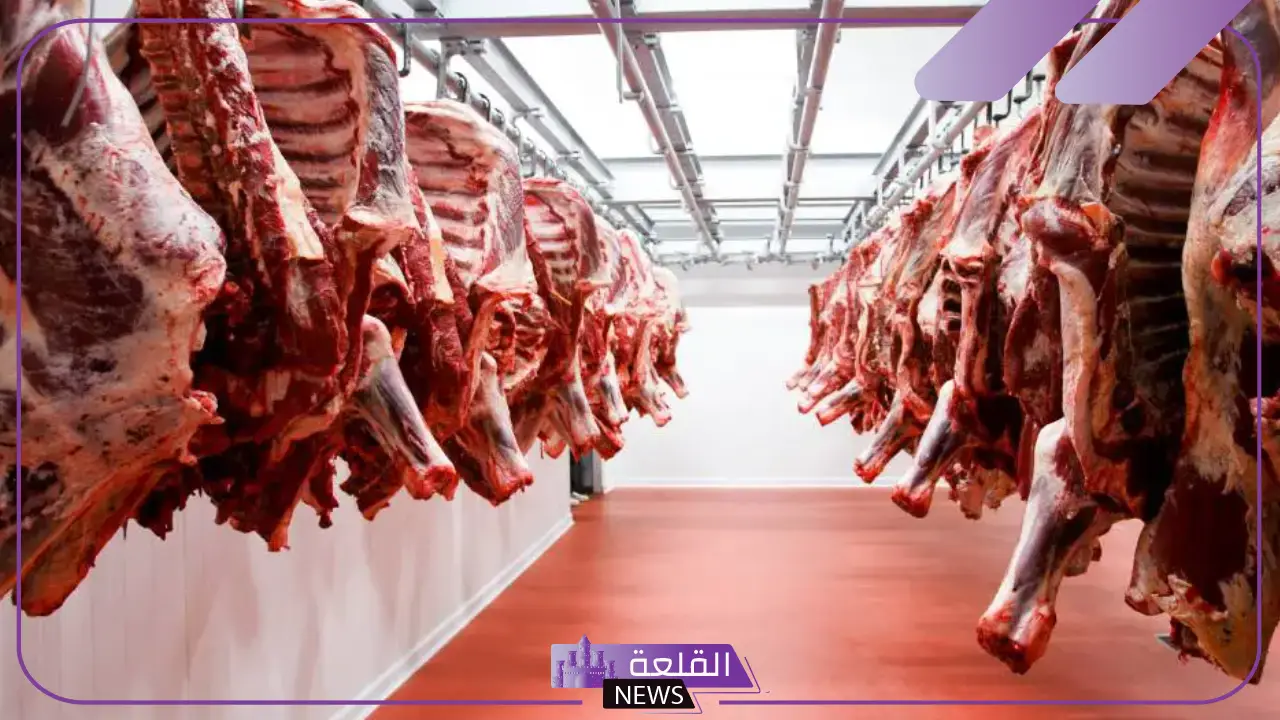 تفسير حلم رؤية الذبيحة في المنام لابن سيرين والإمام الصادق