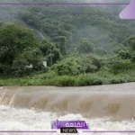 تفسير حلم الغرق في السيل والنجاة منه في المنام للمرأة لابن سيرين والنابلسي