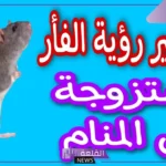 تفسير حلم رؤيا الفار في المنام للمتزوجة والحامل لابن سيرين