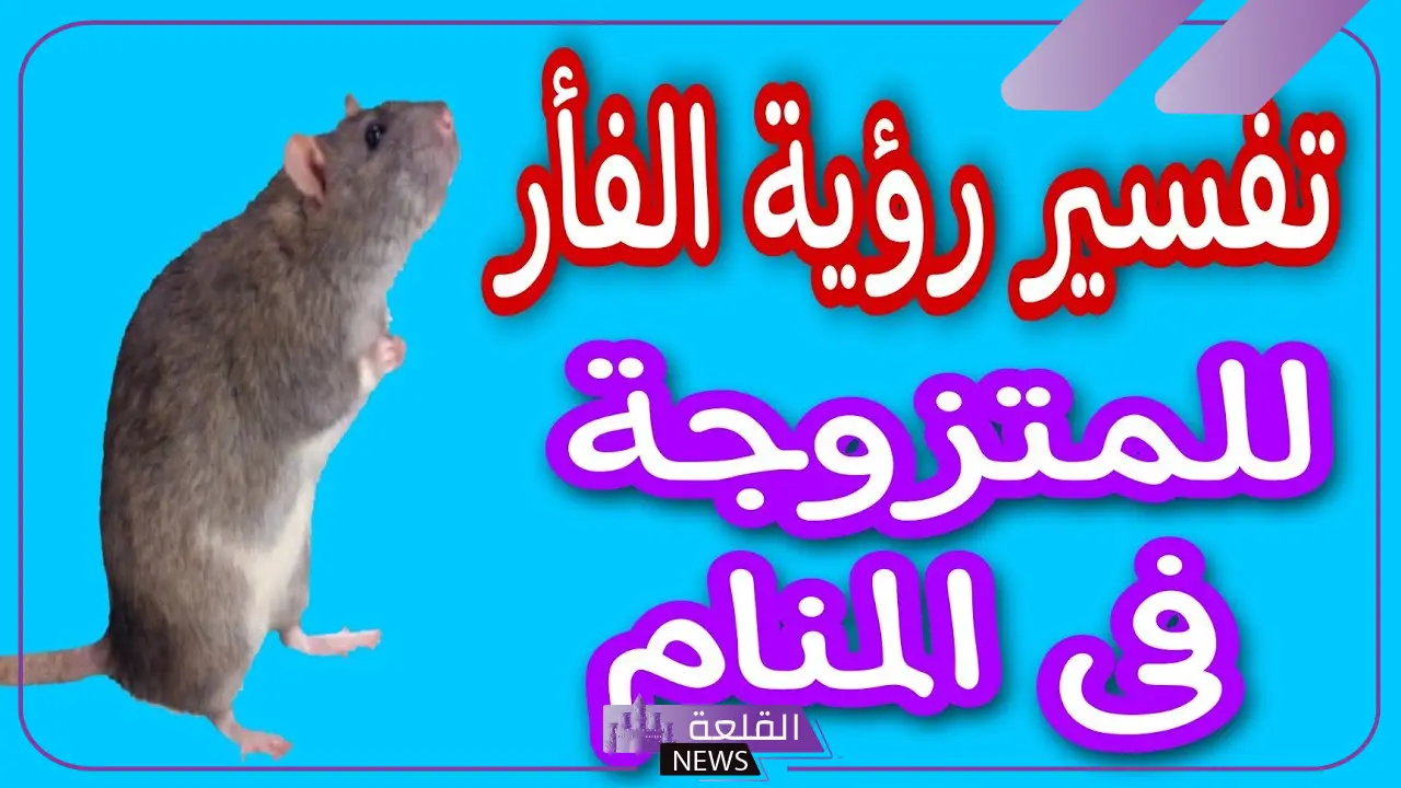 تفسير حلم رؤيا الفار في المنام للمتزوجة والحامل لابن سيرين
