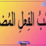 كل ما تريد معرفته عن ادوات نصب وجزم الفعل المضارع