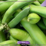 تفسير حلم الفول في المنام وأكله للعزباء والمتزوجة لكبار المفسرين