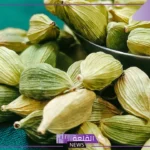 تفسير حلم الهيل في المنام للرجل والمرأة الحامل والمتزوجة لابن سيرين