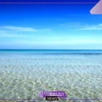 تفسير حلم رؤية البحر الهادئ في المنام للمتزوجة والحامل والعزباء لابن سيرين