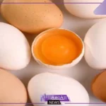 بخصوص البيض الموجود في الأسواق.. السعودية تعلن خبر هام للجميع