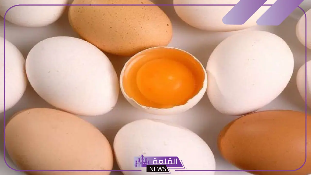 بخصوص البيض الموجود في الأسواق.. السعودية تعلن خبر هام للجميع