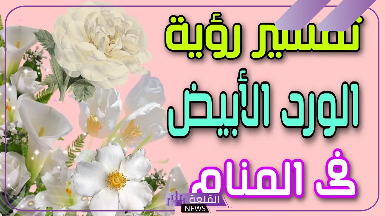 تفسير الحلم بالورد الابيض في المنام ورمزه لابن سيرين