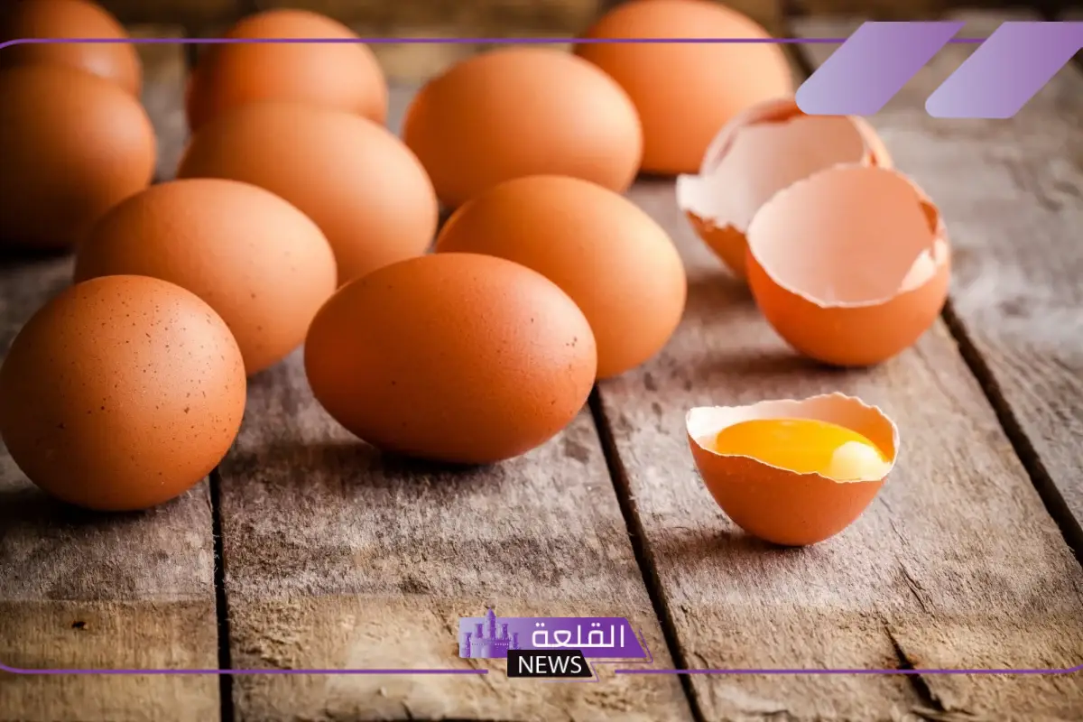 تفسير حلم البيض للمتزوجه والحامل والعزباء لابن سيرين 5 معنى رؤية البيض في المنام للنابلسي