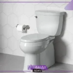 تفسير حلم البراز في المنام للعزباء والحامل والمتزوجة لابن سيرين