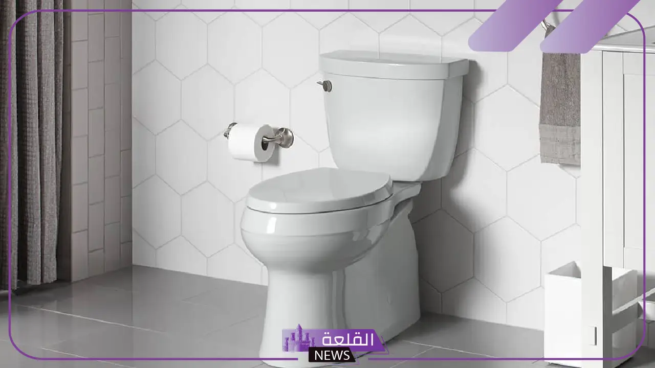تفسير حلم البراز في المنام للعزباء والحامل والمتزوجة لابن سيرين